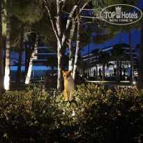 фото из отзыва ID 2732825