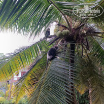 фото из отзыва ID 2732834