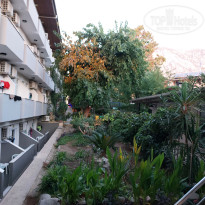 фото из отзыва ID 2732840