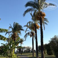 фото из отзыва ID 2732863