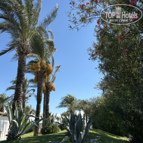 фото из отзыва ID 2732863