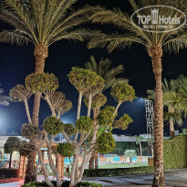 фото из отзыва ID 2732935