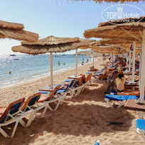 фото из отзыва ID 2732935