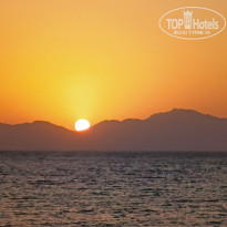 фото из отзыва ID 2732935