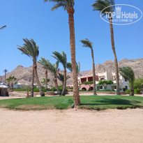 фото из отзыва ID 2732971