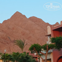 фото из отзыва ID 2732971