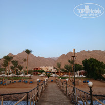 фото из отзыва ID 2732971