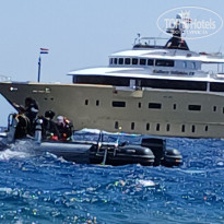 фото из отзыва ID 2732971