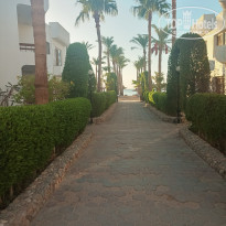 фото из отзыва ID 2732976