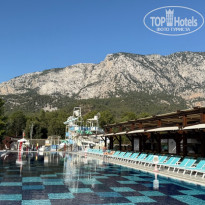 фото из отзыва ID 2733009