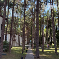 фото из отзыва ID 2733009