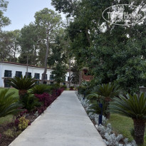 фото из отзыва ID 2733009