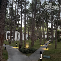 фото из отзыва ID 2733009