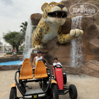 фото из отзыва ID 2732987