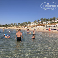 фото из отзыва ID 2733023