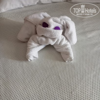 фото из отзыва ID 2733027