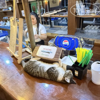 фото из отзыва ID 2733057