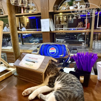 фото из отзыва ID 2733057