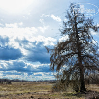 фото из отзыва ID 2730591