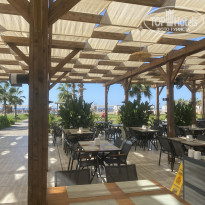 фото из отзыва ID 2733158