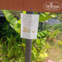 фото из отзыва ID 2733162