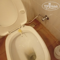 фото из отзыва ID 2733162