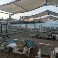 фото из отзыва ID 2733162