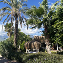 фото из отзыва ID 2733222