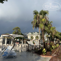 фото из отзыва ID 2733222