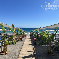 фото из отзыва ID 2733222