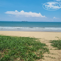 фото из отзыва ID 2733227