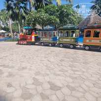 фото из отзыва ID 2733227