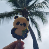 фото из отзыва ID 2733227