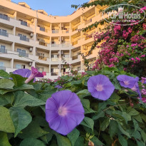 фото из отзыва ID 2733239