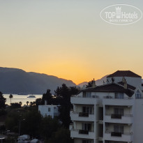 фото из отзыва ID 2733239