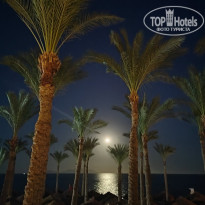 фото из отзыва ID 2733236