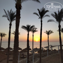 фото из отзыва ID 2733236