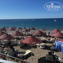 фото из отзыва ID 2733261