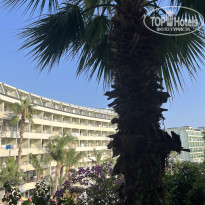 фото из отзыва ID 2733266