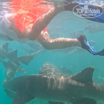 фото из отзыва ID 2733270