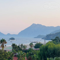 фото из отзыва ID 2733264