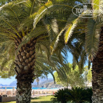 фото из отзыва ID 2733264