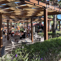 фото из отзыва ID 2733284