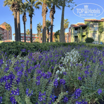 фото из отзыва ID 2733284