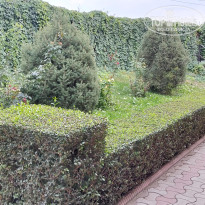 фото из отзыва ID 2733301