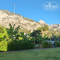 фото из отзыва ID 2733307