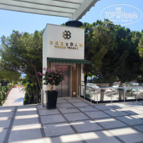 фото из отзыва ID 2733320