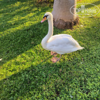 фото из отзыва ID 2733320