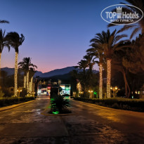 фото из отзыва ID 2733320