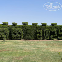 фото из отзыва ID 2733326